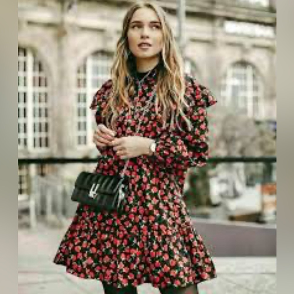 Zara Floral Black and Red ruffled collar Dress size medium